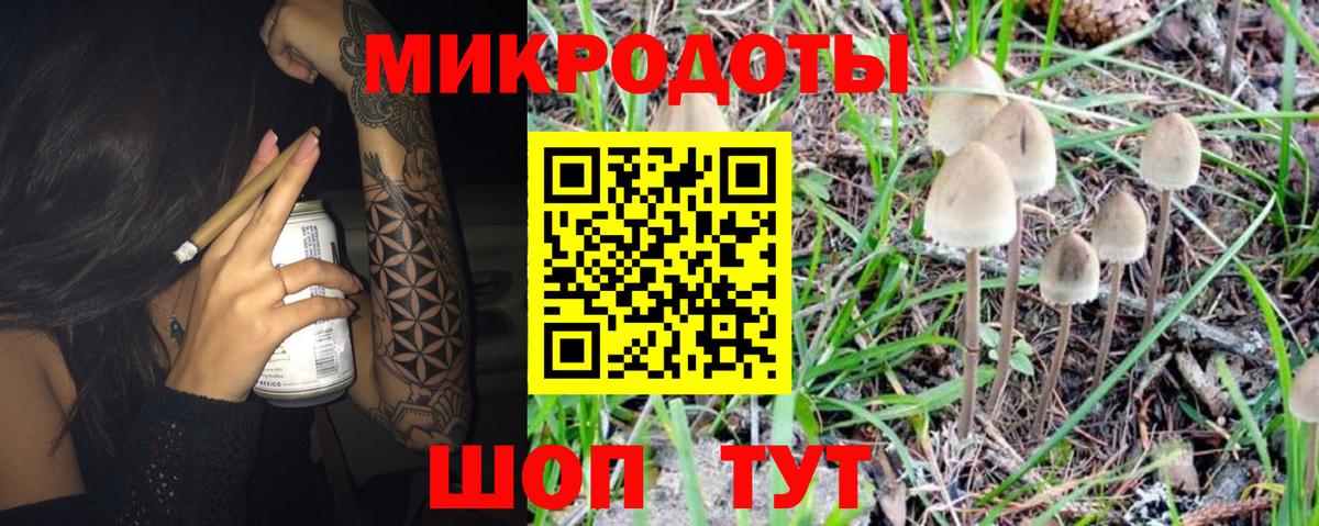Галлюциногенные грибы Psilocybe  Псилоцибиновые грибы MAGIC MUSHROOMS  Вход с VPN  Унеча 