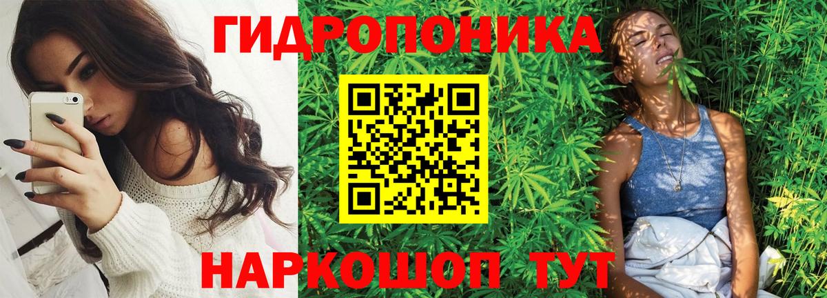 Бошки марихуана индика Унеча